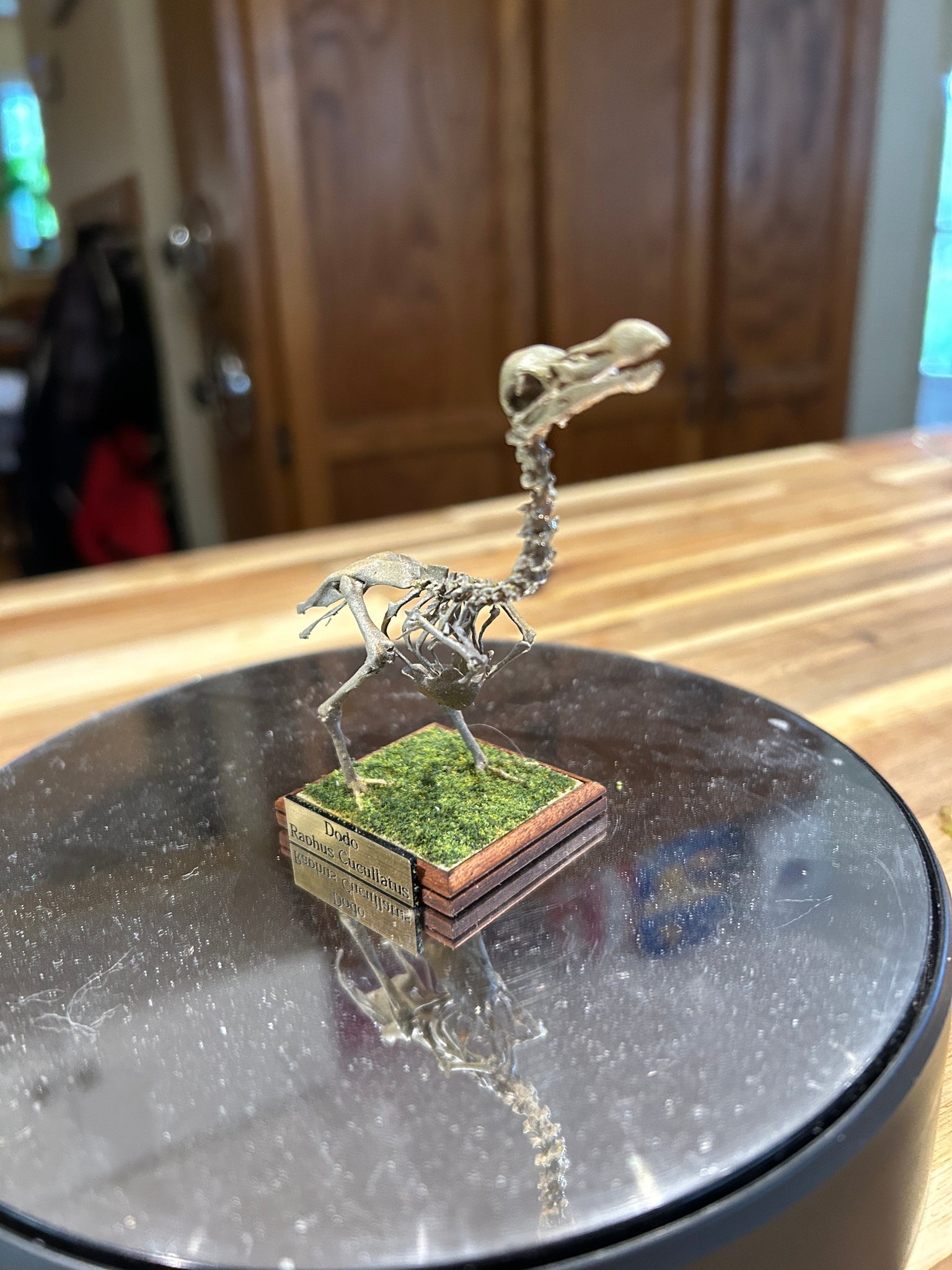 Resin Dodo skeleton